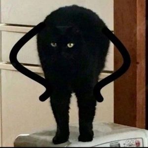 Meet your Posher, Dede